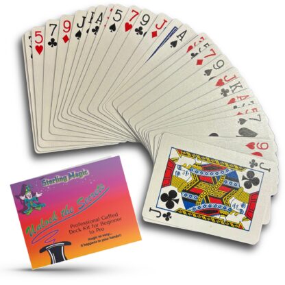 Bicycle Rider Back Invisible Deck - Image 2